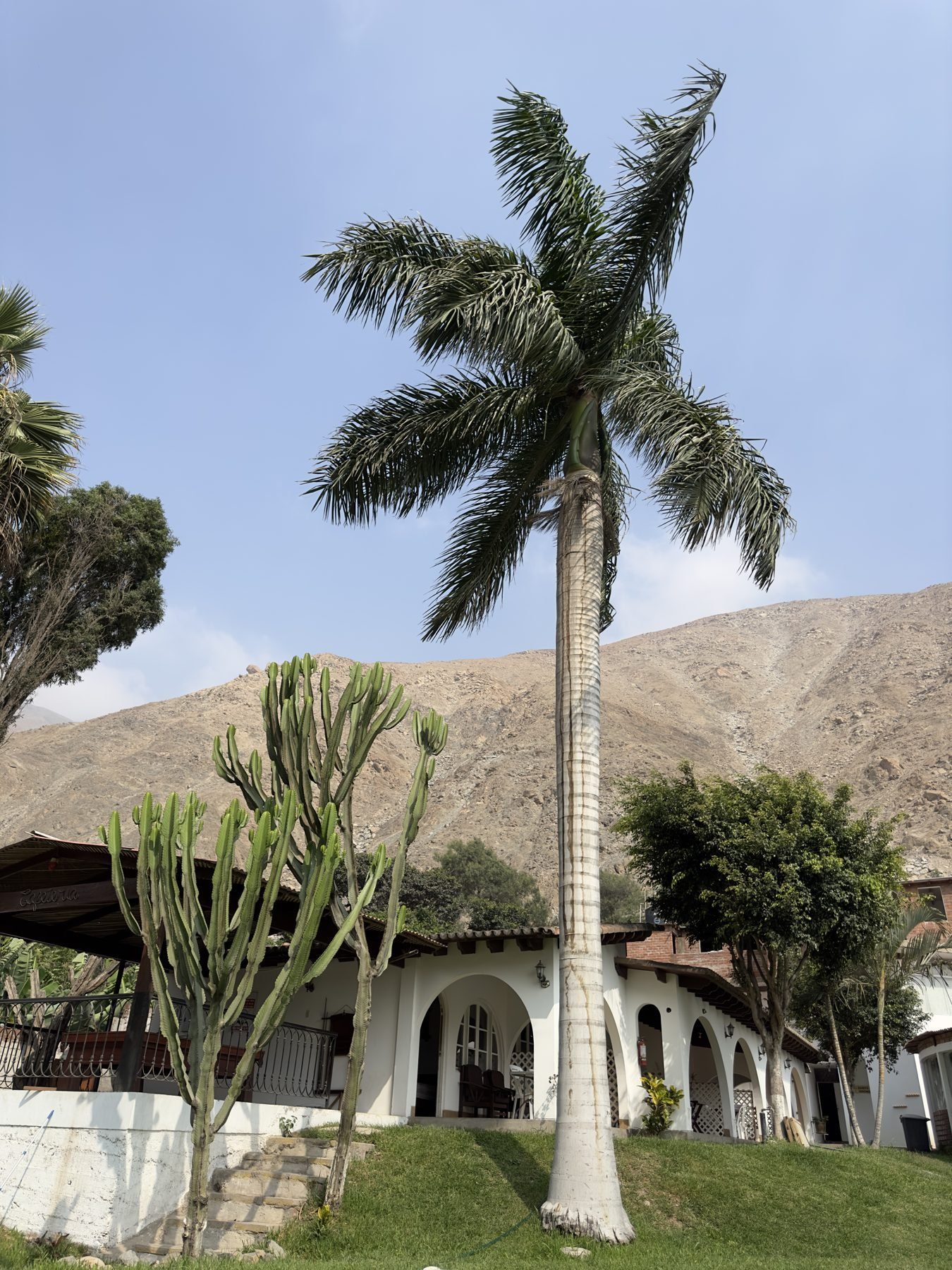 Jardines y palmeras de la Hacienda Nieve Nieve con las montañas de fondo